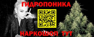мдпв Брянск