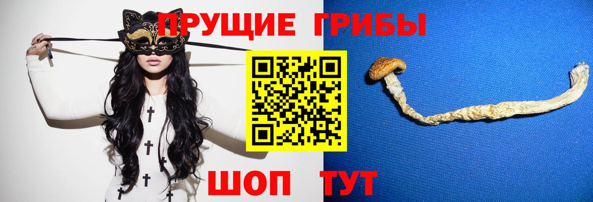 Псилоцибиновые грибы GOLDEN TEACHER  Вход с VPN  Сокол 