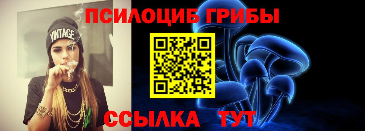 Галлюциногенные грибы мицелий Сокол
